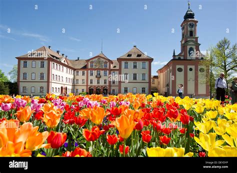 Schloss Mainau Castle and a colourful tulip field, Insel Mainau Stock Photo: 60839962 - Alamy