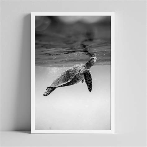 Black and White Monochromatic UNDERWATER Sea Turtle Photo, DIGITAL ...