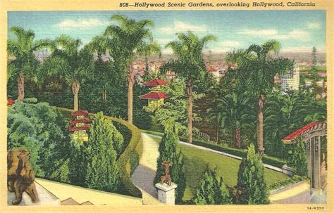 Hollywood Scenic Gardens - Vintage Linen Postcard | Postcard ...