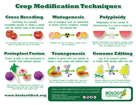 Paul Knoepfler on X | Plant breeding, How to create infographics, Plants