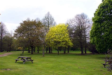 Picnic area at the arboretum © Steve Daniels :: Geograph Britain and Ireland