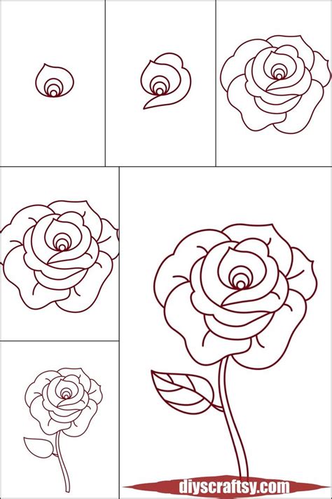 Beautiful Rose Drawing Tutorial | Roses drawing, Rose drawing, Flower drawing tutorials