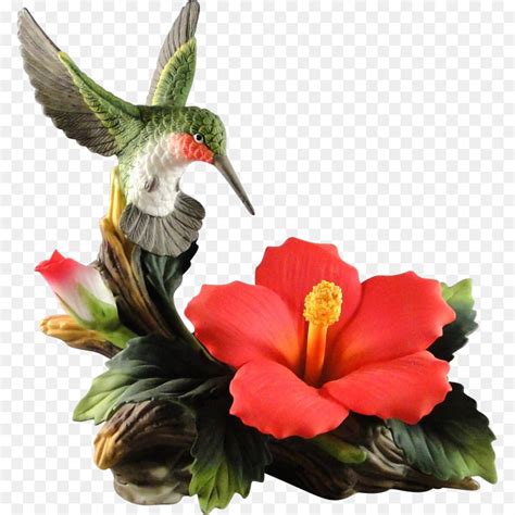 Hummingbird clipart hibiscus, Hummingbird hibiscus Transparent FREE for ...