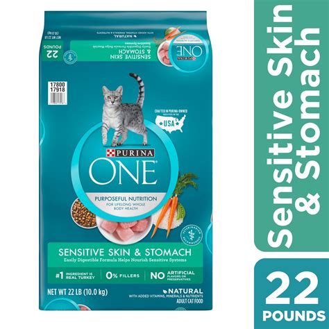 Purina ONE Natural Dry Cat Food, Sensitive Skin & Stomach Formula, 22 ...