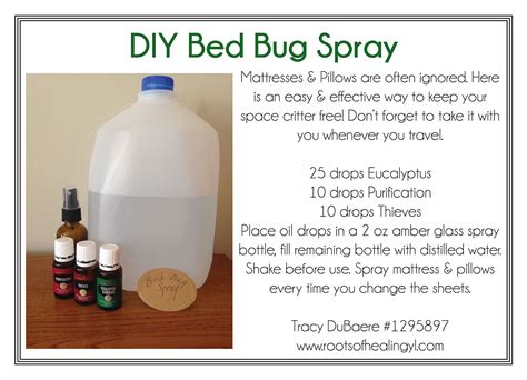 Tea Tree Oil Bed Bug Spray Recipe - PestPhobia