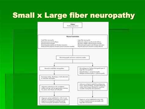 PPT - Clinical diagnosis and treatment of NEUROPATHIC pain PowerPoint Presentation - ID:3583533