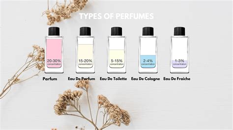 5 Types of Perfumes You Need to Know About - SCENTTRIBE