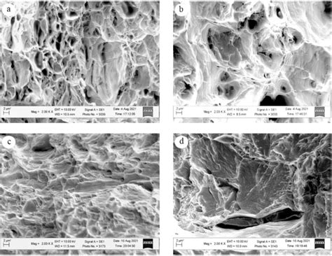 Fracture peculiarities in the central zone of the fracture surfaces of... | Download Scientific ...