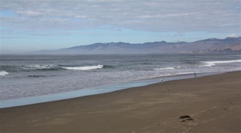 Bodega Dunes Beach in Bodega Bay, CA - California Beaches