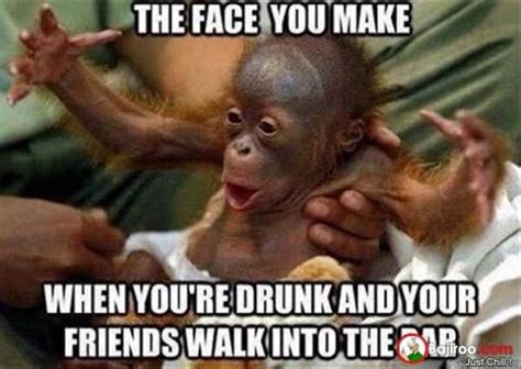 25 Funny Monkey Memes You'll Totally Fall In Love With - SayingImages.com