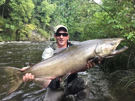 Tips on getting your Salmon River salmon filleted, smoked (video) - newyorkupstate.com