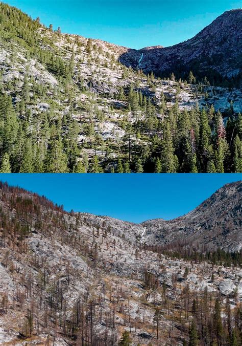 A Year After the Caldor Fire | Sierra Nevada Conservancy