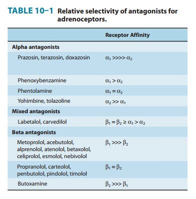 Basic Pharmacology of the Alpha Receptor Antagonist Drugs