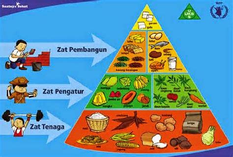 Fungsi dan Contoh Sumber Zat Makanan Karbohidrat, Protein, Vitamin, Lemak, Mineral, serta Air ...