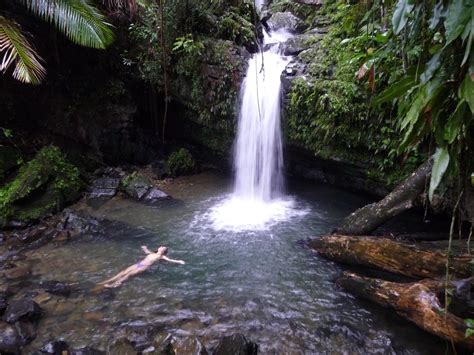 El Yunque Rainforest, Puerto Rico | El yunque rainforest, Puerto rico ...