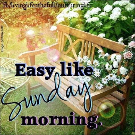 Easy like Sunday Morning Image Quote | Easy like sunday morning, Sunday ...