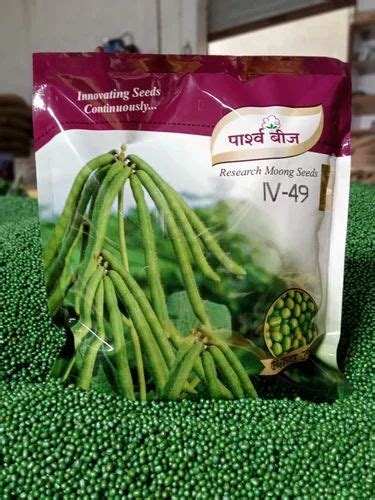 Gram Seed at Rs 120/kg | Vegetable Seeds in Petlawad | ID: 2852901185555