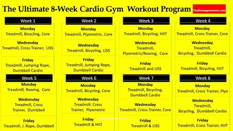 Ultimate 8 Week Cardio Workout Plan for Gym Goers (with PDF)