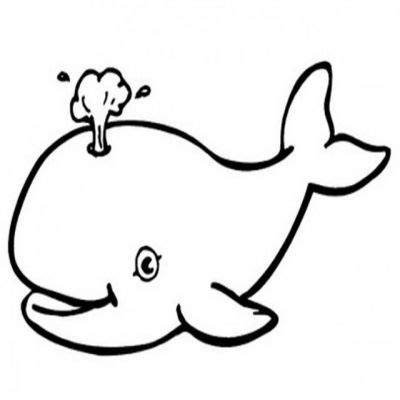 Whale black and white whale shark clipart black and white – Gclipart.com