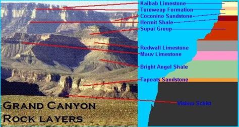 Grand Canyon Formed Timeline | Science lesson activities, Geology ...