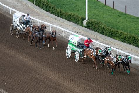 The Chuckwagon Races are Back at the Calgary Stampede — Here's What You ...