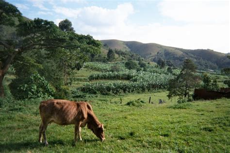 List of Tourist Attractions in Kabale, Uganda - Touristlink