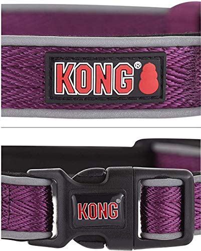 Best Kong Reflective Dog Collar