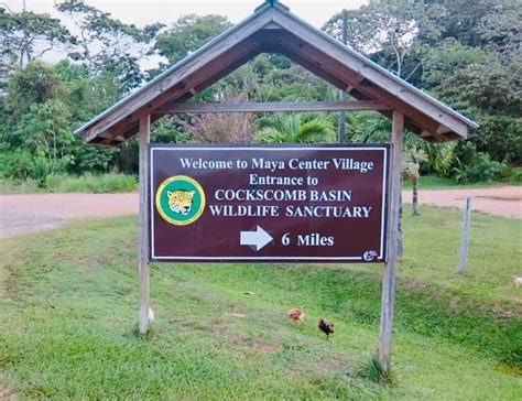 Hiking Guide: Cockscomb Basin Wildlife Sanctuary – Belize Adventure