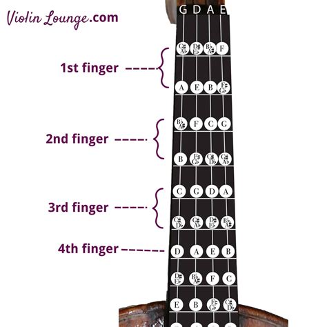 All Violin Notes in the First Position for Beginners - Violin Lounge