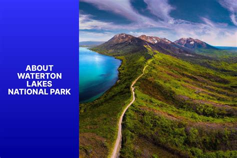 Best Hikes in Waterton Lakes National Park - jasonexplorer.com