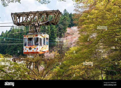 Nara, Japan - April 3, 2023 : Yoshino Ropeway. Cherry blossoms in full ...