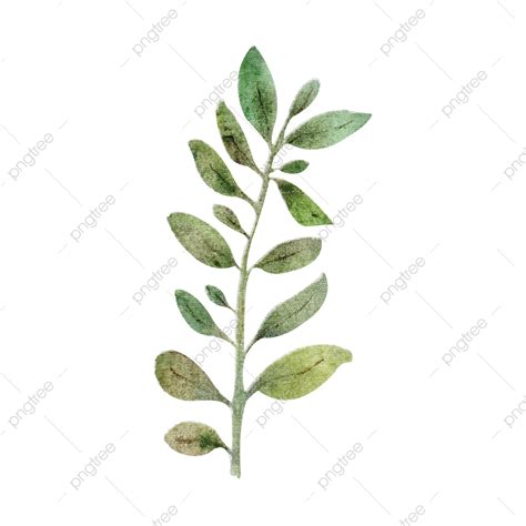 Green Leaves Vector Hd PNG Images, Green Leaves, Hojas Verdes, Natural ...