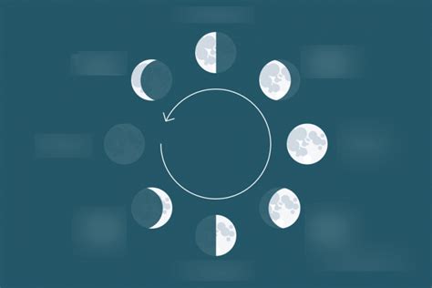 Science 8: Moon Phases Diagram | Quizlet