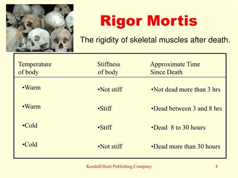 PPT - Chapter 12: Human Remains PowerPoint Presentation, free download ...