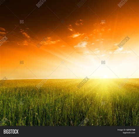 Field Grass Sunset Image & Photo (Free Trial) | Bigstock