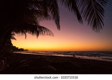 Sunrise Over Jacmel Beach Haiti Stock Photo 1033715518 | Shutterstock