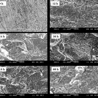 Chemical composition of carbon steel AISI 1020 | Download Table