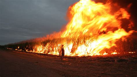 Australia's largest fire under control - EPE News