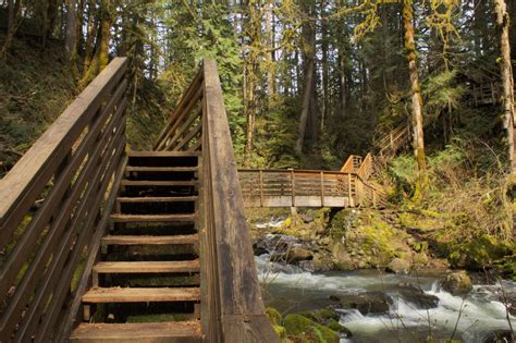 Hike to the Extraordinary Waterfalls of McDowell Creek Falls County ...