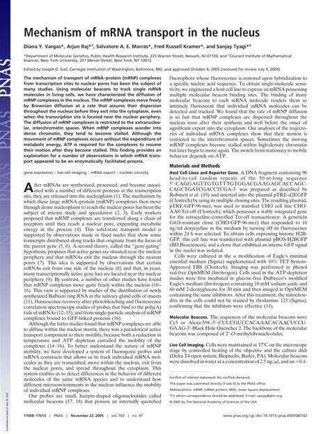 (PDF) Mechanism of mRNA transport in the nucleusMechanism of mRNA transport in the nucleus Diana ...