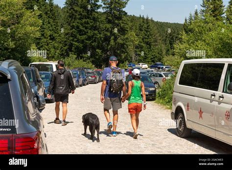 Hiking in Bulgaria. Parked cars by hiking trails area in Vitosha ...