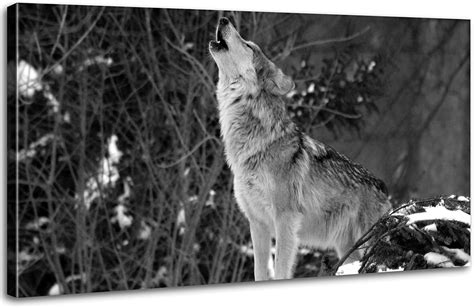 Amazon.com: Grey Wolf Wall Art, Black and White Wild Animal Wall Decor ...