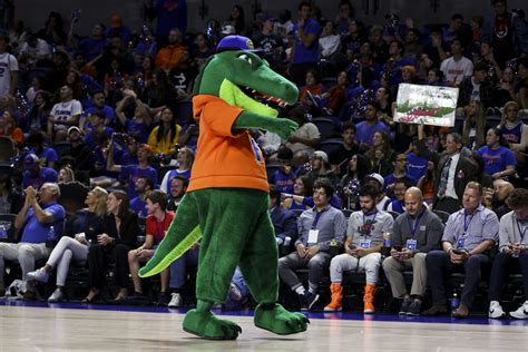 WATCH: Florida gymnastics celebrates SEC title win - On3