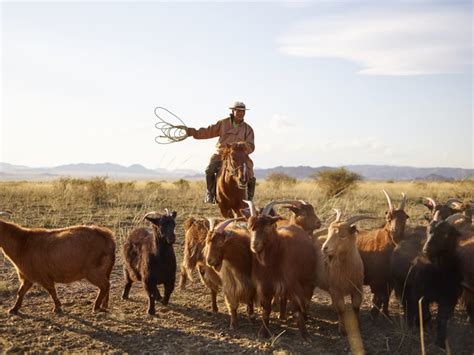 Is Cashmere Cruel? How This Luxury Material is Produced