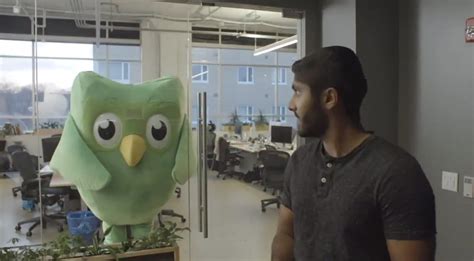 Duolingo’s Cute Owl Mascot Is a Ruthless, Terrifying Sociopath with Nothing to Lose – Media ...