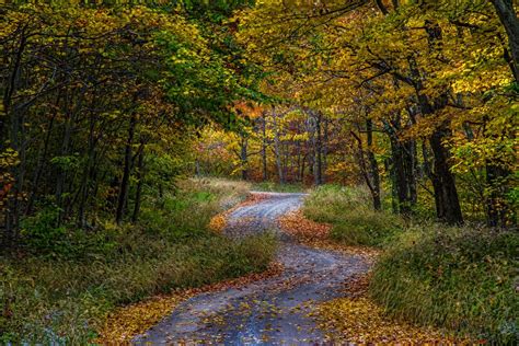 Country road (Monongahela National Forest, West Virginia) by Randall ...