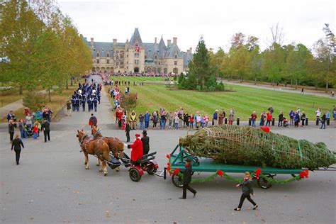 Biltmore House Christmas Photo Tour