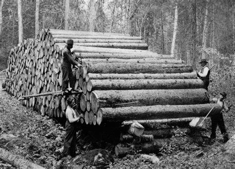 Logging History: Lumber Scaling Rules and Tools - - The Adirondack Almanack