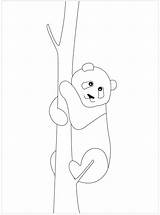 Rope Climbing coloring Page  Download Print Or Color Online For Free sketch template