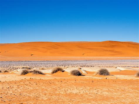 Stevenzo - Steven Adler's: Walking on the Desert Plateau